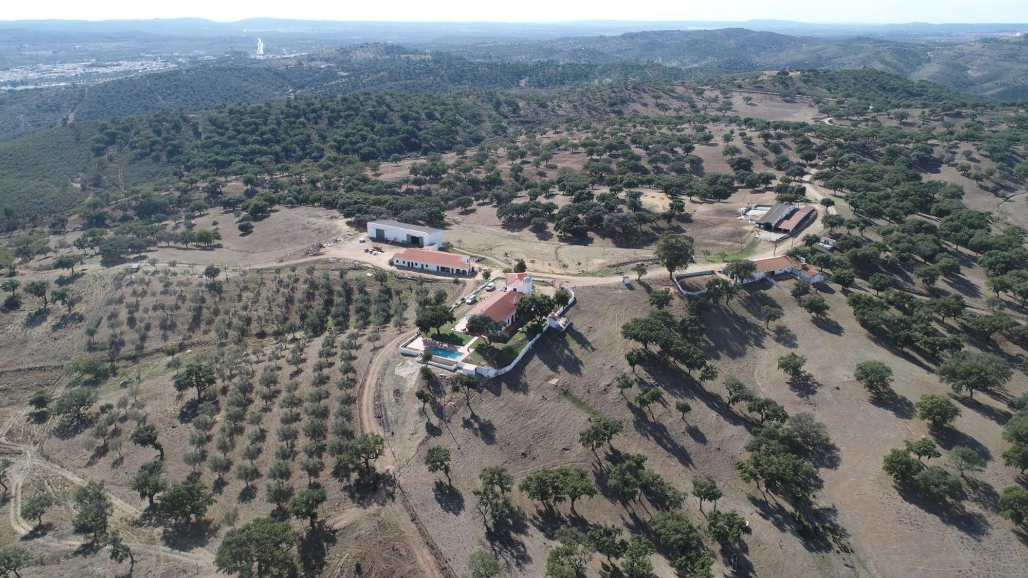 Herdade Vale De Cabras Portel Zewnętrze zdjęcie