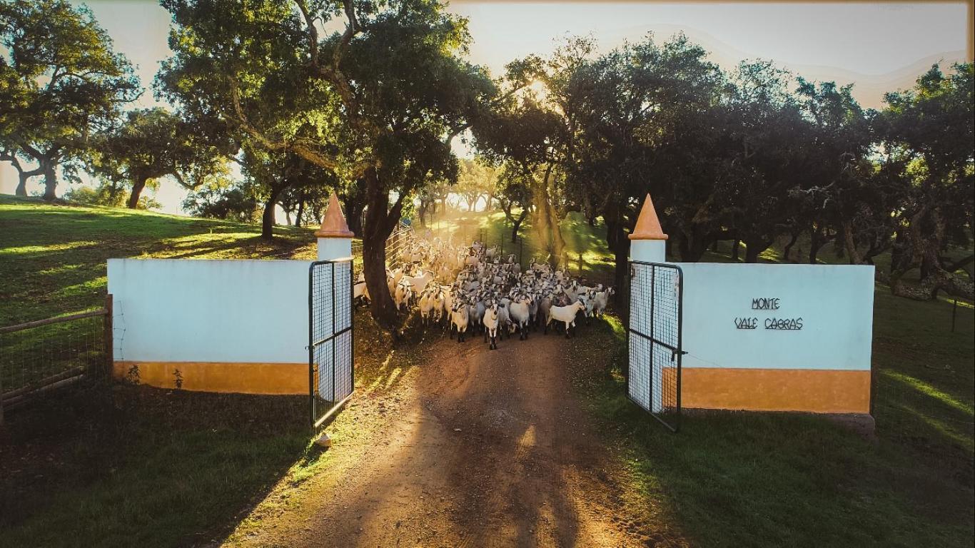 Herdade Vale De Cabras Portel Zewnętrze zdjęcie